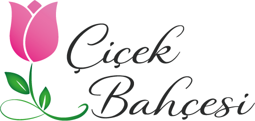 Manisa Çiçekçi - Manisa Çelenk Gönder